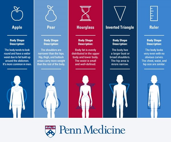 Penn State Univeristy infographics on body shapes