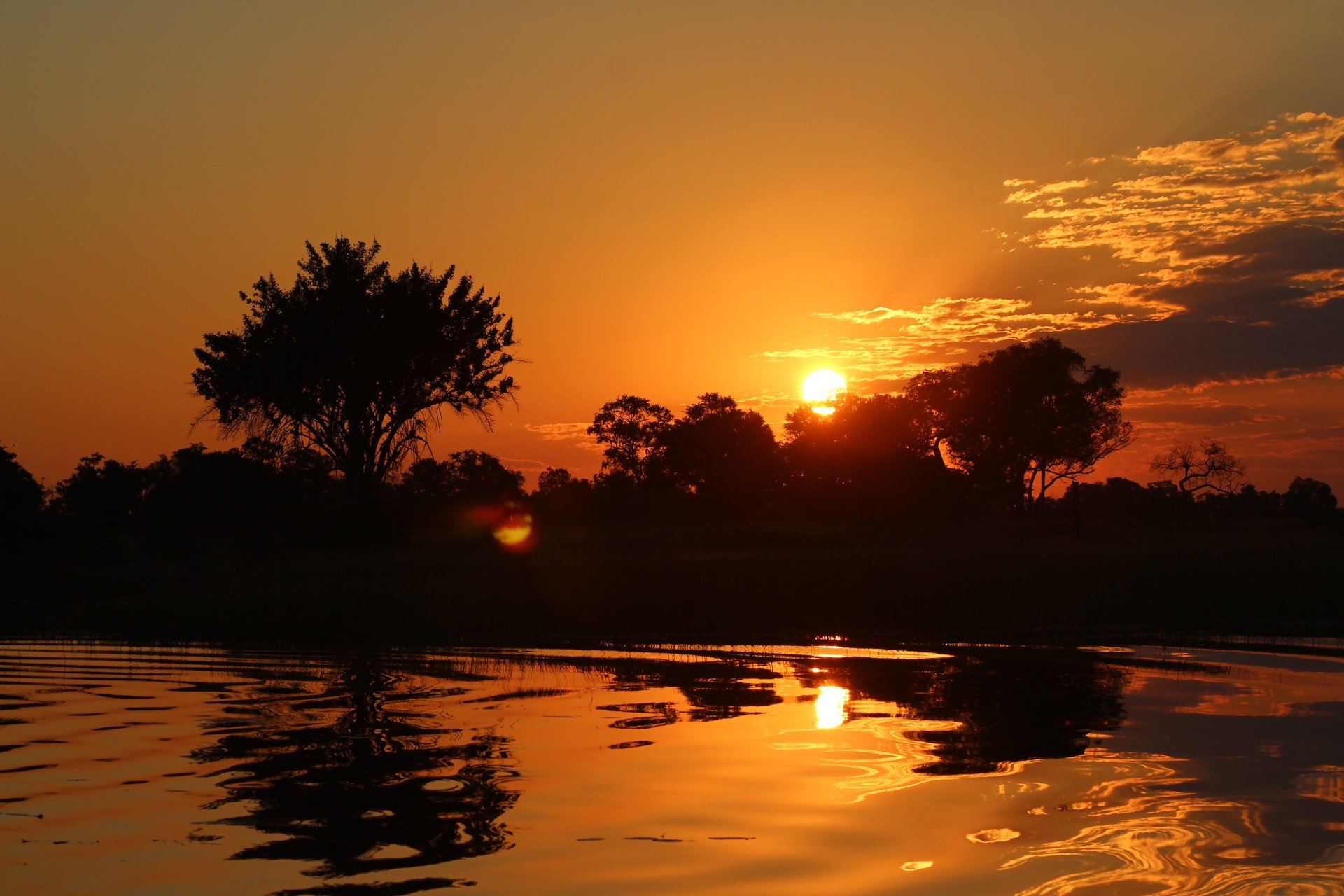 Image of Okavango Delta , Botswana by Andy Robson via Unsplash